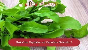 Rokanın Faydaları ve Zararları Nelerdir ?