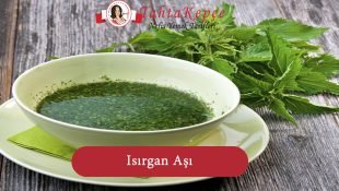 Isırgan Aşı